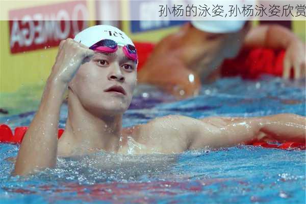 孙杨的泳姿,孙杨泳姿欣赏