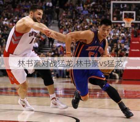 林书豪对战猛龙,林书豪vs猛龙