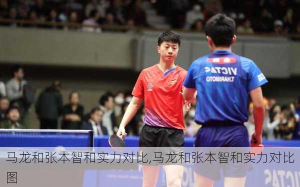 马龙和张本智和实力对比,马龙和张本智和实力对比图