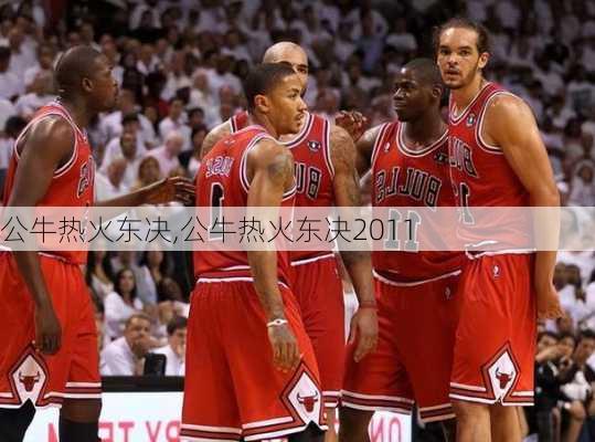 公牛热火东决,公牛热火东决2011