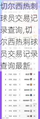 切尔西热刺球员交易记录查询,切尔西热刺球员交易记录查询最新