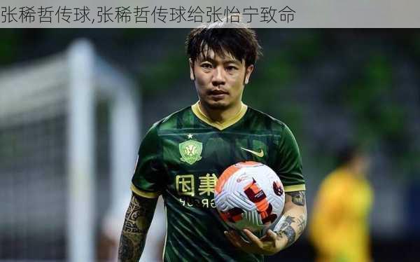 张稀哲传球,张稀哲传球给张怡宁致命