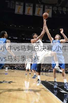 小牛vs马刺总决赛,小牛vs马刺季后赛
