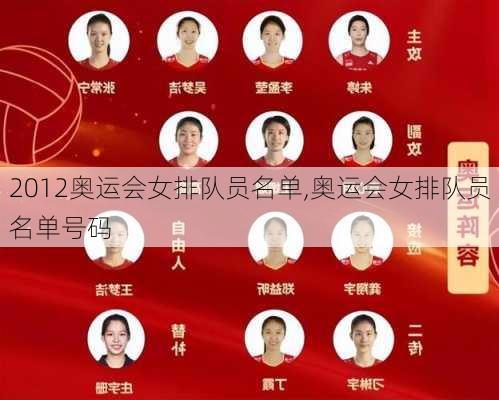 2012奥运会女排队员名单,奥运会女排队员名单号码