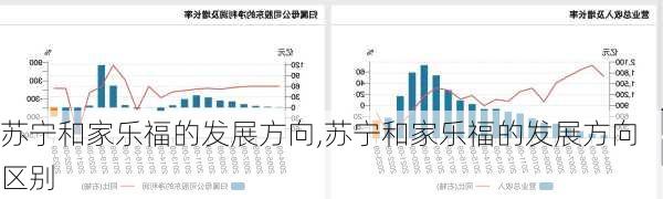苏宁和家乐福的发展方向,苏宁和家乐福的发展方向区别