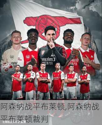 阿森纳战平布莱顿,阿森纳战平布莱顿裁判