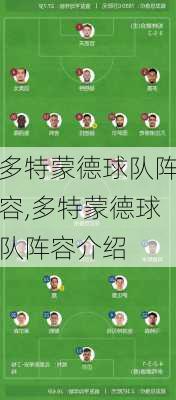 多特蒙德球队阵容,多特蒙德球队阵容介绍