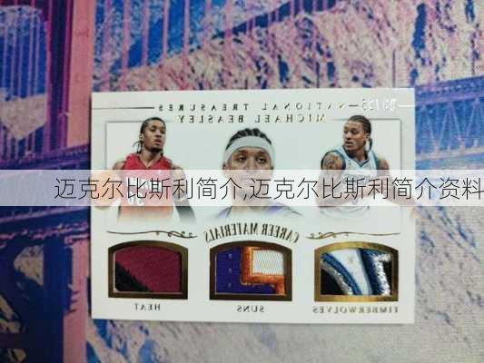迈克尔比斯利简介,迈克尔比斯利简介资料
