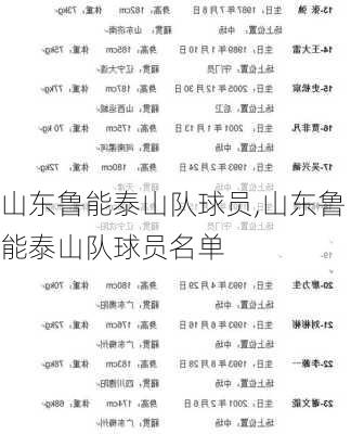 山东鲁能泰山队球员,山东鲁能泰山队球员名单