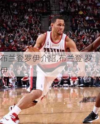 布兰登罗伊介绍,布兰登 罗伊