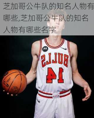 芝加哥公牛队的知名人物有哪些,芝加哥公牛队的知名人物有哪些名字