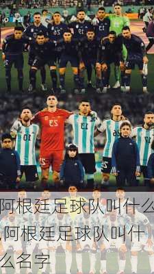 阿根廷足球队叫什么,阿根廷足球队叫什么名字