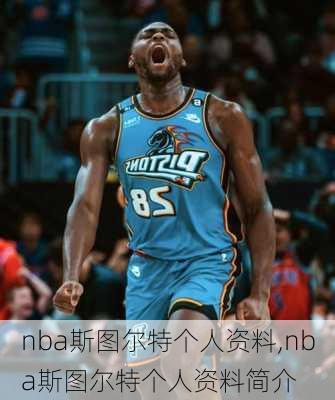 nba斯图尔特个人资料,nba斯图尔特个人资料简介