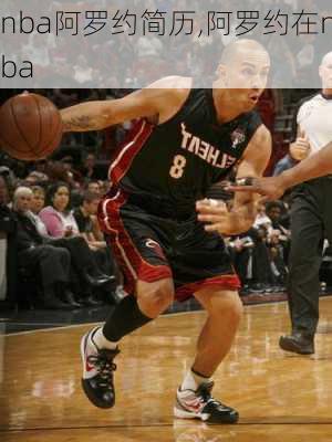 nba阿罗约简历,阿罗约在nba