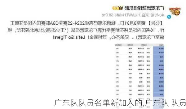 广东队队员名单新加入的,广东队 队员