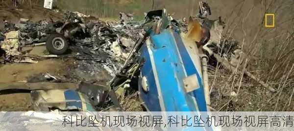 科比坠机现场视屏,科比坠机现场视屏高清