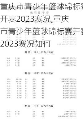 重庆市青少年篮球锦标赛开赛2023赛况,重庆市青少年篮球锦标赛开赛2023赛况如何