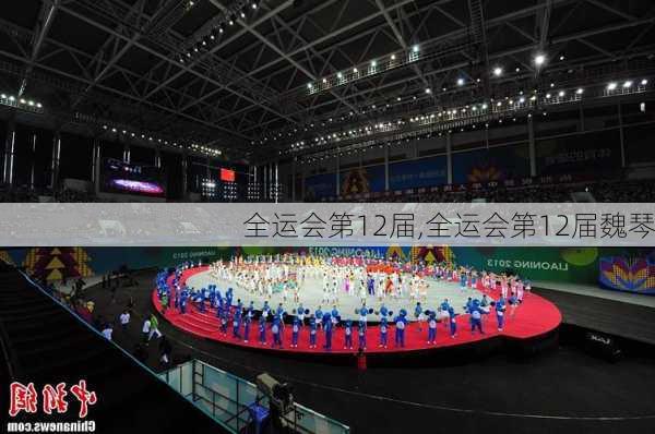 全运会第12届,全运会第12届魏琴