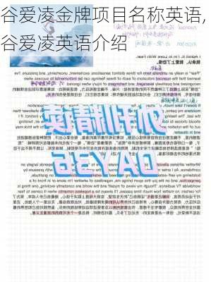 谷爱凌金牌项目名称英语,谷爱凌英语介绍