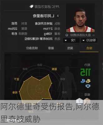 阿尔德里奇受伤报告,阿尔德里奇被威胁