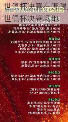 世俱杯决赛在哪踢,世俱杯决赛场地