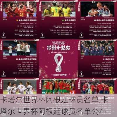 卡塔尔世界杯阿根廷球员名单,卡塔尔世界杯阿根廷球员名单公布