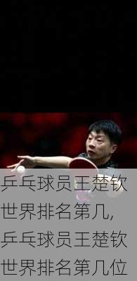 乒乓球员王楚钦世界排名第几,乒乓球员王楚钦世界排名第几位