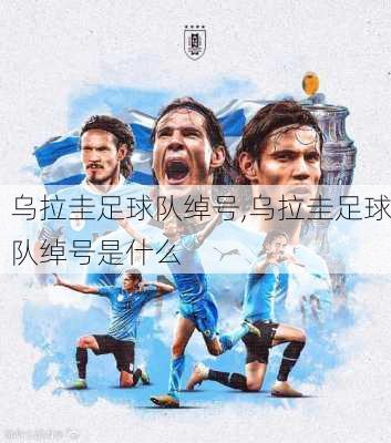 乌拉圭足球队绰号,乌拉圭足球队绰号是什么