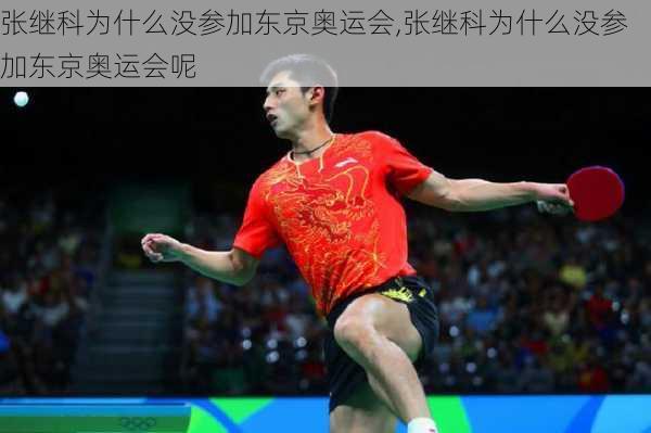 张继科为什么没参加东京奥运会,张继科为什么没参加东京奥运会呢