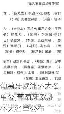 葡萄牙欧洲杯大名单公,葡萄牙欧洲杯大名单公布