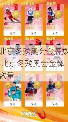 北京冬残奥会金牌数,北京冬残奥会金牌数量