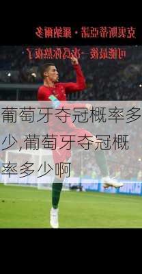 葡萄牙夺冠概率多少,葡萄牙夺冠概率多少啊