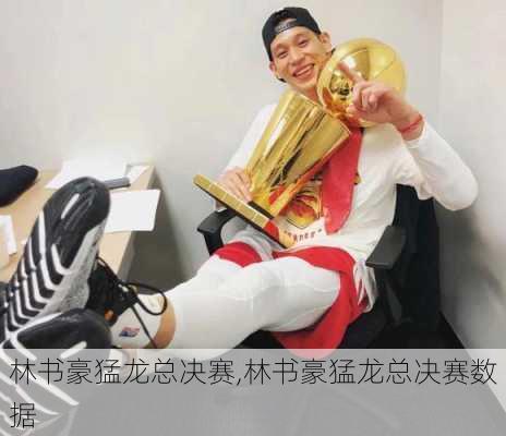 林书豪猛龙总决赛,林书豪猛龙总决赛数据