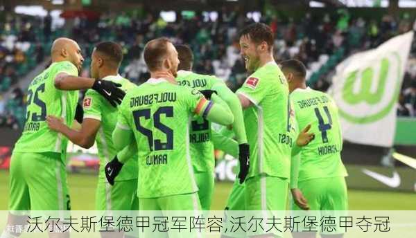 沃尔夫斯堡德甲冠军阵容,沃尔夫斯堡德甲夺冠