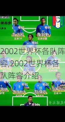 2002世界杯各队阵容,2002世界杯各队阵容介绍