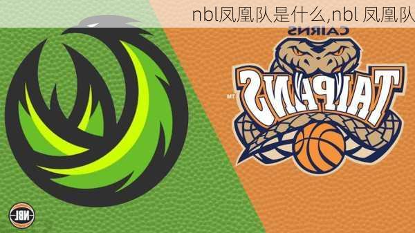 nbl凤凰队是什么,nbl 凤凰队