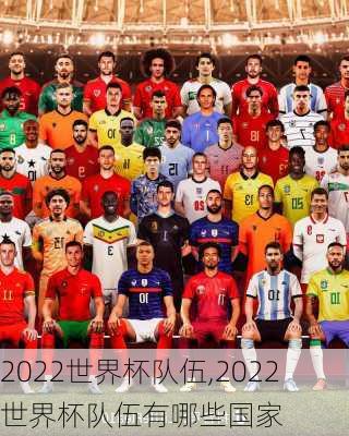 2022世界杯队伍,2022世界杯队伍有哪些国家