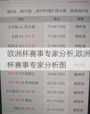 欧洲杯赛事专家分析,欧洲杯赛事专家分析图