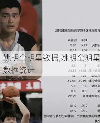 姚明全明星数据,姚明全明星数据统计