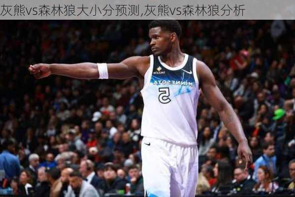灰熊vs森林狼大小分预测,灰熊vs森林狼分析