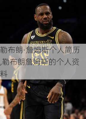 勒布朗·詹姆斯个人简历,勒布朗詹姆斯的个人资料
