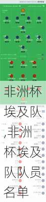 非洲杯埃及队,非洲杯埃及队队员名单
