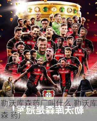 勒沃库森药厂叫什么,勒沃库森 药厂