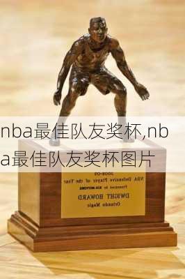nba最佳队友奖杯,nba最佳队友奖杯图片