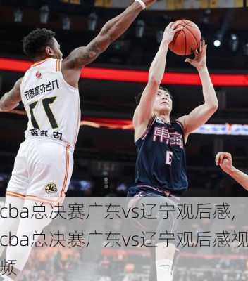 cba总决赛广东vs辽宁观后感,cba总决赛广东vs辽宁观后感视频