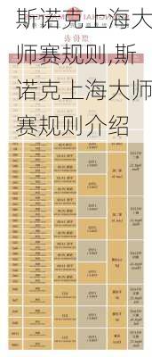 斯诺克上海大师赛规则,斯诺克上海大师赛规则介绍
