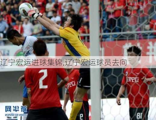 辽宁宏运进球集锦,辽宁宏运球员去向