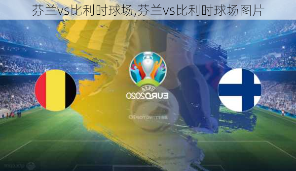 芬兰vs比利时球场,芬兰vs比利时球场图片