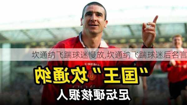 坎通纳飞踹球迷慢放,坎通纳飞踹球迷后名言