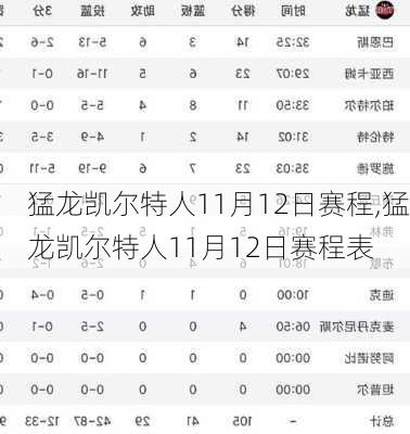 猛龙凯尔特人11月12日赛程,猛龙凯尔特人11月12日赛程表